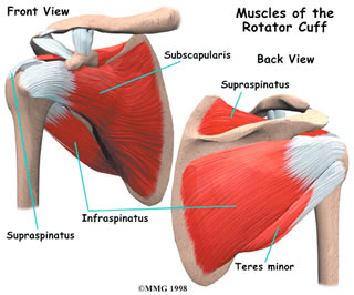 Shoulder-pain-physiotherapy
